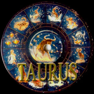 Macabre Unit - Taurus (12") (Very Good (VG))